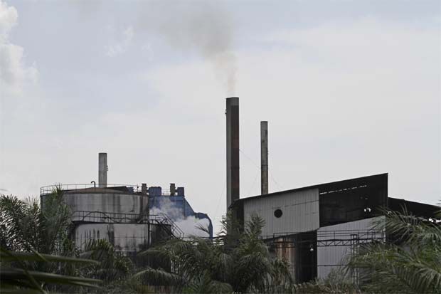 palm oil factory